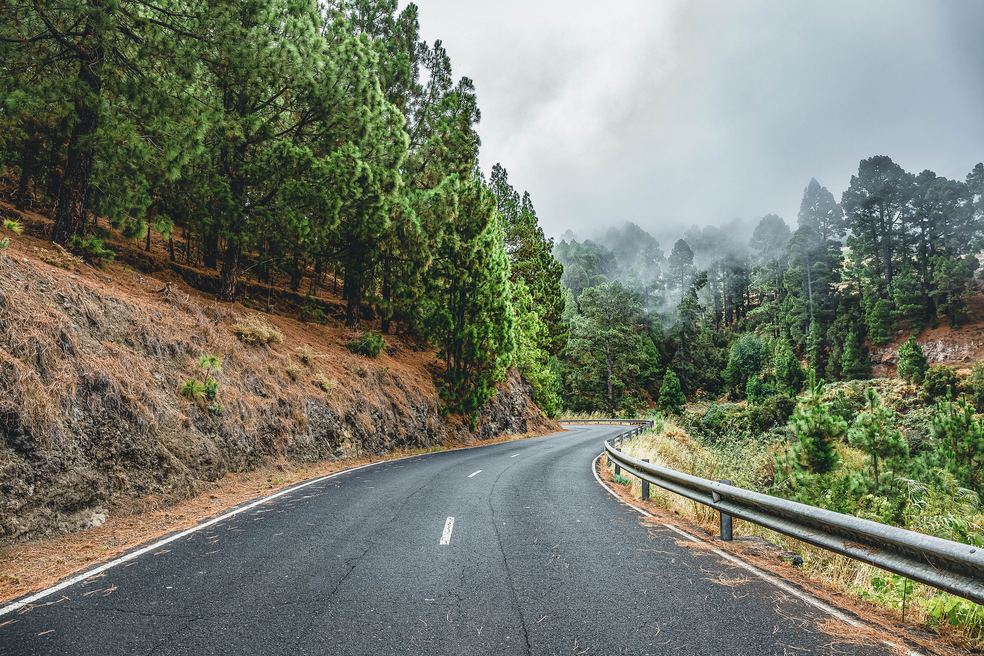 Empty road through green landscape at sunset